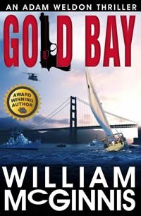 Gold Bay Mystery book by William McGinnis