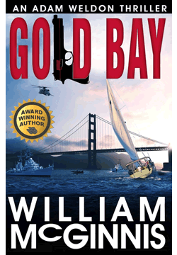 Gold Bay Spy Adventure Novel