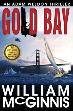 Gold Bay Spy Adventure Novel
